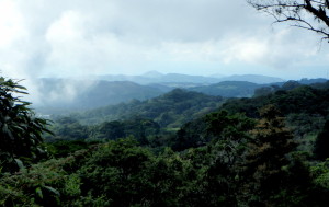 Up to 1,842m Cerro Amigos, Monte Verde, Costa Rica